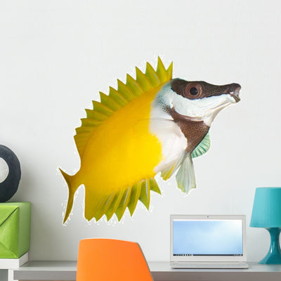 Salt Water Fish Wall Decal shown on a wall
