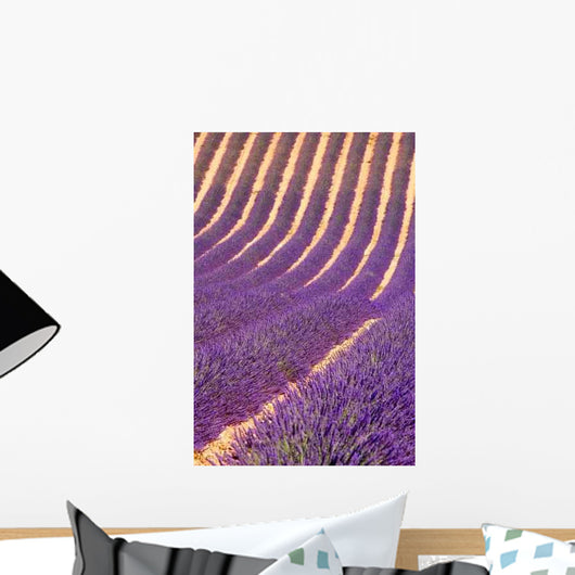 Lavender Field Wall Decal