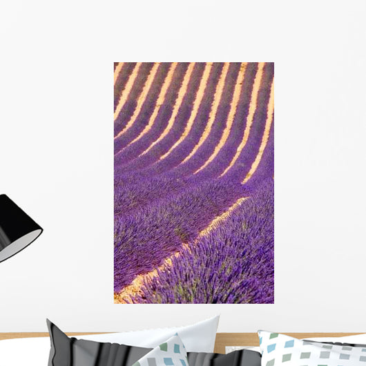 Lavender Field Wall Decal