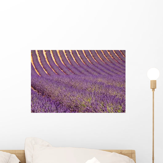 Lavender Wall Decal