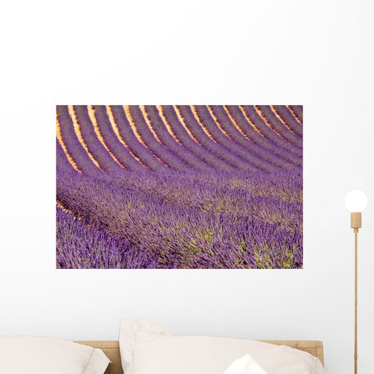 Lavender Wall Decal