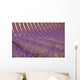 Lavender Wall Decal