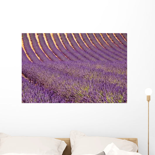 Lavender Wall Decal
