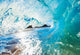 Inside an Ocean Wave Wall Decal