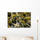 Pict4100 Wall Decal