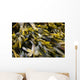 Pict4100 Wall Decal