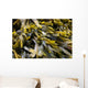 Pict4100 Wall Decal