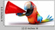CG Parrot with Megaphone Wall Decal