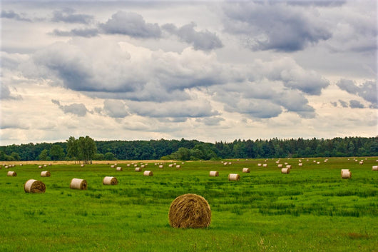 Hay Harvest Wall Decal