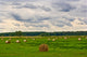 Hay Harvest Wall Decal