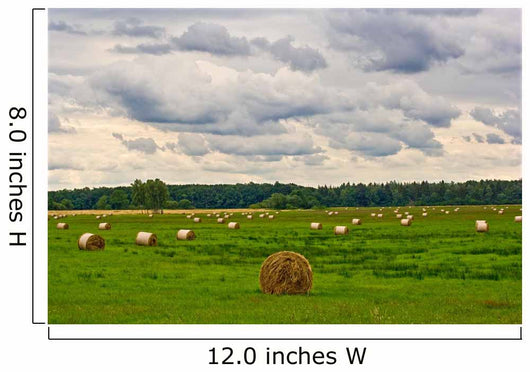 Hay Harvest Wall Decal