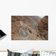 Lacets Des Gorges Dades Wall Decal