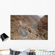 Lacets Des Gorges Dades Wall Decal
