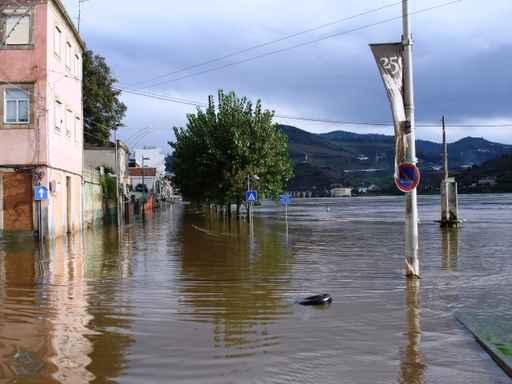 Portugal Regua Flooding Wall Decal