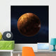 Planet Venus Wall Decal