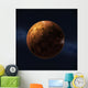 Planet Venus Wall Decal