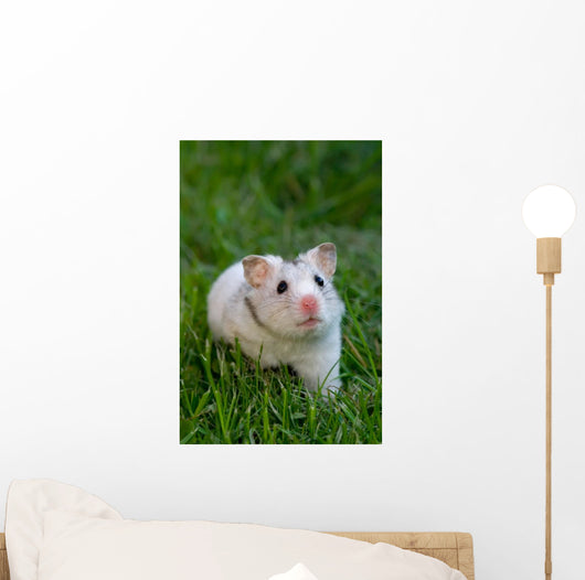 White Hamster Wall Decal
