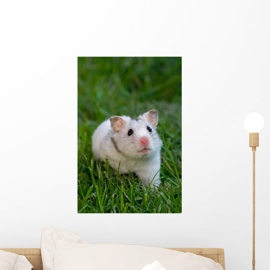 White Hamster Wall Decal