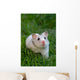 White Hamster Wall Decal