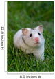 White Hamster Wall Decal