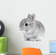 Gray Rabbit Bunny Baby Wall Decal
