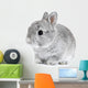 Gray Rabbit Bunny Baby Wall Decal