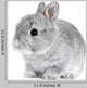 Gray Rabbit Bunny Baby Wall Decal
