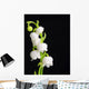 Lily Valley Wall Decal