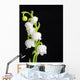 Lily Valley Wall Decal