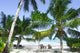 Strand Seychellen Wall Decal