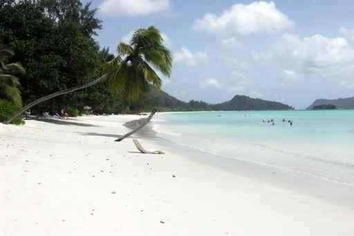 Beach Seychelles Wall Decal