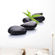 Zen Pebbles and Leaf Spa Wall Decal