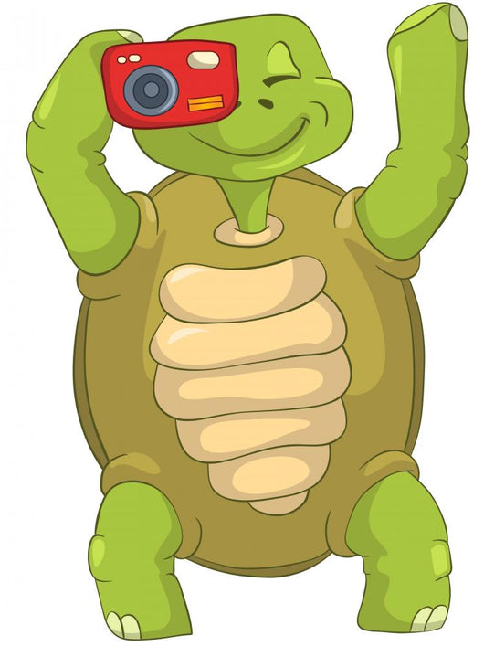 Funny Turtle Tourist Photographer Wall Decal