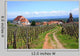 Alsatian Vineyard Wall Decal