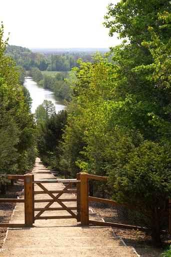 Path to River Wall Decal