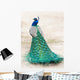 Walking Peacock Wall Decal