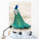 Walking Peacock Wall Decal