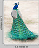 Walking Peacock Wall Decal