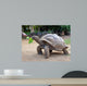Big Seychelles Turtle Eatla Wall Decal