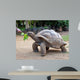 Big Seychelles Turtle Eatla Wall Decal
