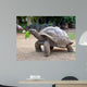 Big Seychelles Turtle Eatla Wall Decal