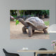 Big Seychelles Turtle Eatla Wall Decal
