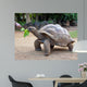 Big Seychelles Turtle Eatla Wall Decal