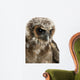 Up Brown Wood Owl Wall Decal