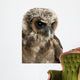 Up Brown Wood Owl Wall Decal