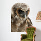 Up Brown Wood Owl Wall Decal