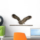 Portrait Brown Wood Owl Wall Decal