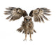 Landing Portrait Brown Wood Owl Wall Decal