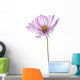 Cosmos Wall Decal