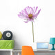 Cosmos Wall Decal